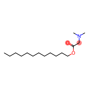 Dodecyl (dimethylamino)acetate