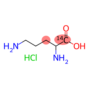 DL-ORNITHINE HYDROCHLORIDE, [1-14C]-