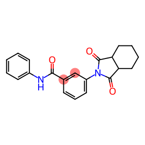 3-(1,3-dioxooctahydro-2H-isoindol-2-yl)-N-phenylbenzamide