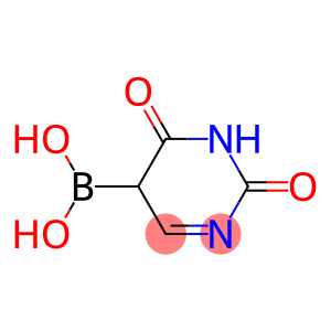 2,6-Dioxo-1,2,5,6-tetrahydropyrimidine-5-boronic acid