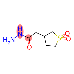 2-(1,1-DIOXIDOTETRAHYDROTHIEN-3-YL)ACETOHYDRAZIDE