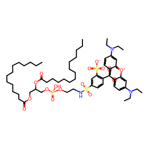 1,2-DIMYRISTOYL-SN-GLYCERO-3-PHOSPHOETHANOLAMINE-N-(LISSAMINE RHODAMINE B SULFONYL)