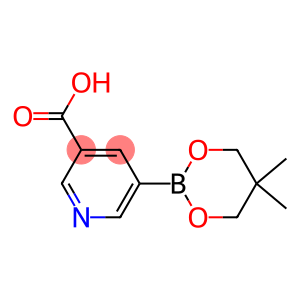 5-(5,5-Dimethyl-1,3,2-dioxaborinan-2-yl)-nicotinic acid