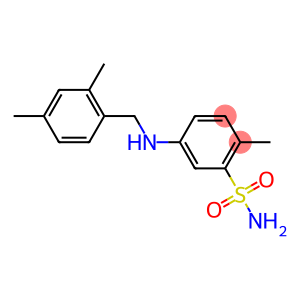 5-{[(2,4-dimethylphenyl)methyl]amino}-2-methylbenzene-1-sulfonamide