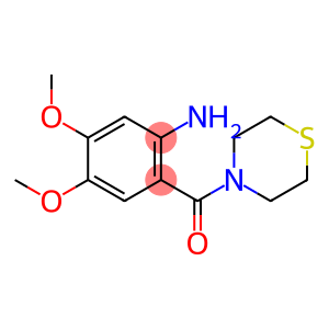 4,5-dimethoxy-2-(thiomorpholin-4-ylcarbonyl)aniline