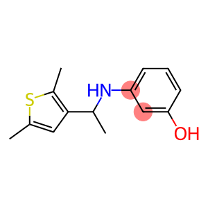 3-{[1-(2,5-dimethylthiophen-3-yl)ethyl]amino}phenol