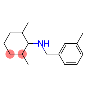 2,6-dimethyl-N-[(3-methylphenyl)methyl]cyclohexan-1-amine