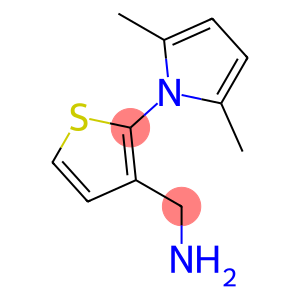 [2-(2,5-dimethyl-1H-pyrrol-1-yl)thien-3-yl]methylamine