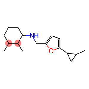 2,3-dimethyl-N-{[5-(2-methylcyclopropyl)furan-2-yl]methyl}cyclohexan-1-amine