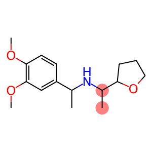 [1-(3,4-dimethoxyphenyl)ethyl][1-(oxolan-2-yl)ethyl]amine