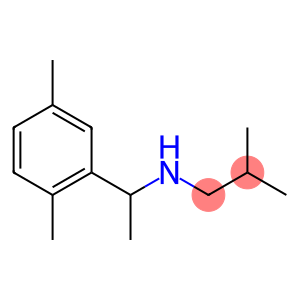 [1-(2,5-dimethylphenyl)ethyl](2-methylpropyl)amine