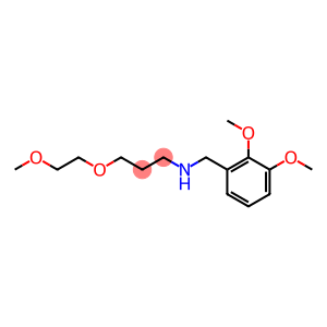 [(2,3-dimethoxyphenyl)methyl][3-(2-methoxyethoxy)propyl]amine