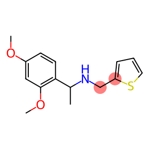 [1-(2,4-dimethoxyphenyl)ethyl](thiophen-2-ylmethyl)amine