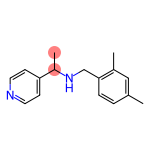 [(2,4-dimethylphenyl)methyl][1-(pyridin-4-yl)ethyl]amine