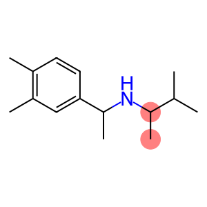 [1-(3,4-dimethylphenyl)ethyl](3-methylbutan-2-yl)amine