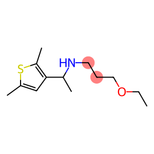 [1-(2,5-dimethylthiophen-3-yl)ethyl](3-ethoxypropyl)amine