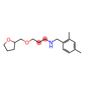 [(2,4-dimethylphenyl)methyl][3-(oxolan-2-ylmethoxy)propyl]amine