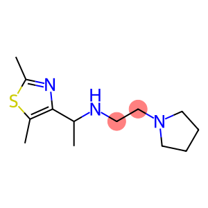 [1-(2,5-dimethyl-1,3-thiazol-4-yl)ethyl][2-(pyrrolidin-1-yl)ethyl]amine