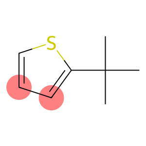 2-(1,1-dimethylethyl)thiophene