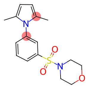 4-[3-(2,5-DIMETHYL-PYRROL-1-YL)-BENZENESULFONYL]-MORPHOLINE