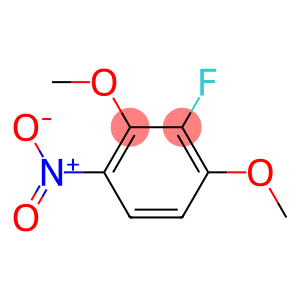 2,4-二甲氧基-3-氟硝基苯