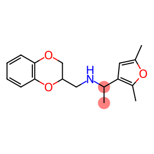 (2,3-dihydro-1,4-benzodioxin-2-ylmethyl)[1-(2,5-dimethylfuran-3-yl)ethyl]amine