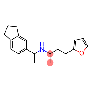 [1-(2,3-dihydro-1H-inden-5-yl)ethyl][4-(furan-2-yl)butan-2-yl]amine