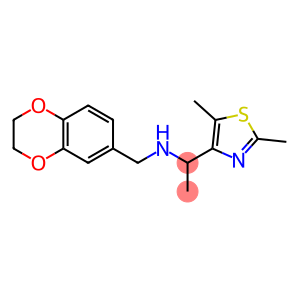 (2,3-dihydro-1,4-benzodioxin-6-ylmethyl)[1-(2,5-dimethyl-1,3-thiazol-4-yl)ethyl]amine