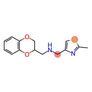 (2,3-dihydro-1,4-benzodioxin-2-ylmethyl)[(2-methyl-1,3-thiazol-4-yl)methyl]amine