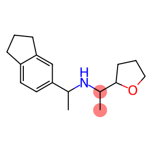 [1-(2,3-dihydro-1H-inden-5-yl)ethyl][1-(oxolan-2-yl)ethyl]amine