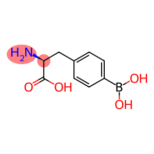 4-dihydroxyborylphenylalanine