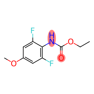 (2,6-DIFLUORO-4-METHOXY-PHENYL)-CARBAMIC ACID ETHYL ESTER