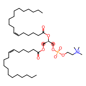 1,2-DI6-CIS-OCTADECENOYL-SN-GLYCERO-3-PHOSPHOCHOLINE