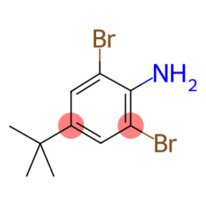 2,6-DIBROMO-4-TERT-BUTYL ANILINE