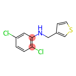 2,5-dichloro-N-(thiophen-3-ylmethyl)aniline