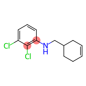 2,3-dichloro-N-(cyclohex-3-en-1-ylmethyl)aniline