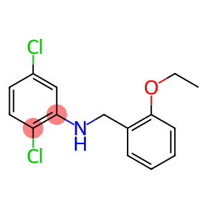 2,5-dichloro-N-[(2-ethoxyphenyl)methyl]aniline