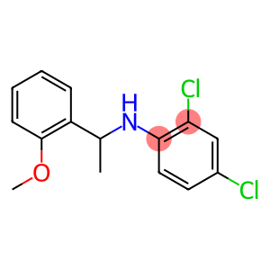 2,4-dichloro-N-[1-(2-methoxyphenyl)ethyl]aniline