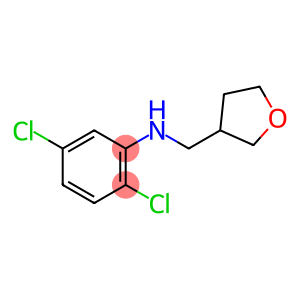 2,5-dichloro-N-(oxolan-3-ylmethyl)aniline