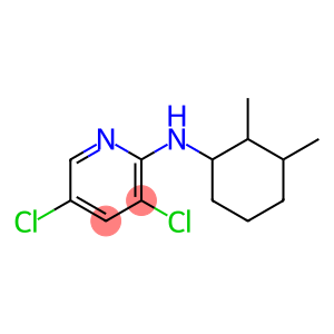 3,5-dichloro-N-(2,3-dimethylcyclohexyl)pyridin-2-amine