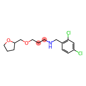 [(2,4-dichlorophenyl)methyl][3-(oxolan-2-ylmethoxy)propyl]amine