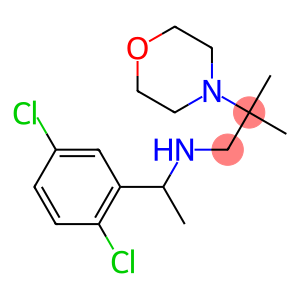 [1-(2,5-dichlorophenyl)ethyl][2-methyl-2-(morpholin-4-yl)propyl]amine