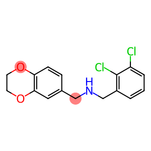 [(2,3-dichlorophenyl)methyl](2,3-dihydro-1,4-benzodioxin-6-ylmethyl)amine