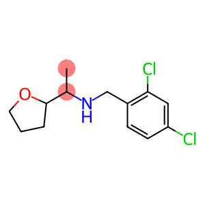 [(2,4-dichlorophenyl)methyl][1-(oxolan-2-yl)ethyl]amine