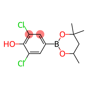 2,6-Dichloro-4-(4,4,6-trimethyl-1,3,2-dioxaborinane-2-yl)phenol