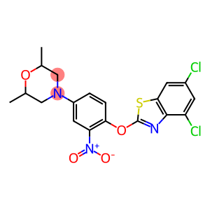 4-{4-[(4,6-dichloro-1,3-benzothiazol-2-yl)oxy]-3-nitrophenyl}-2,6-dimethylmorpholine