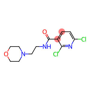 2,6-dichloro-N-(2-morpholinoethyl)nicotinamide