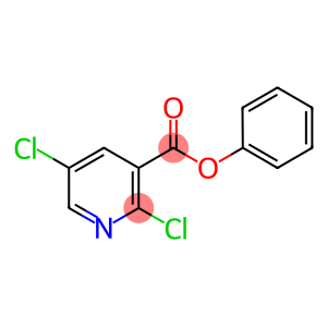 2,5-DICHLORONICOTINIC ACID PHENYL ESTER