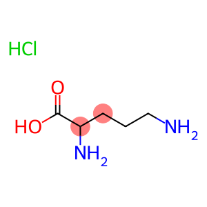 2,5-diaminopentanoic acid hydrochloride