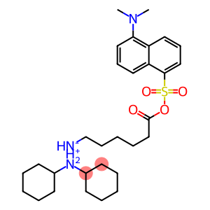 DANSYL EPSILON-(L)-AMINO-N-CAPROIC ACID DICYCLOHEXYLAMMONIUM SALT